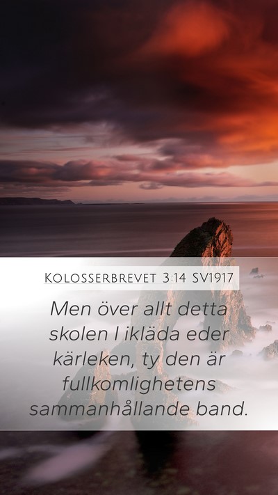 Kolosserbrevet 3:14 SV1917 Bible Verse Image