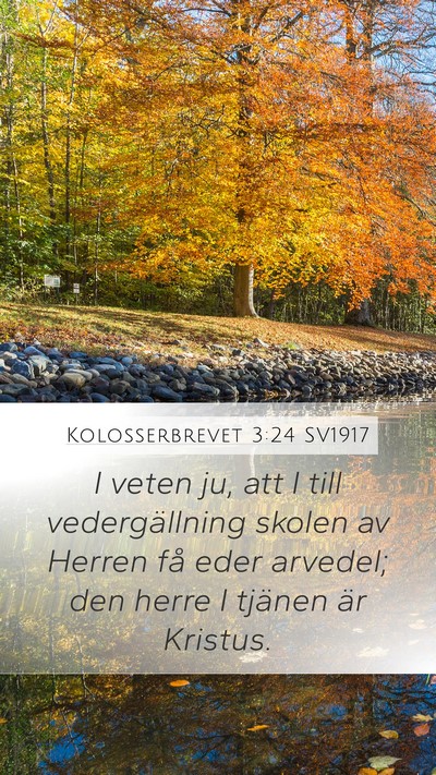 Kolosserbrevet 3:24 SV1917 Bible Verse Image