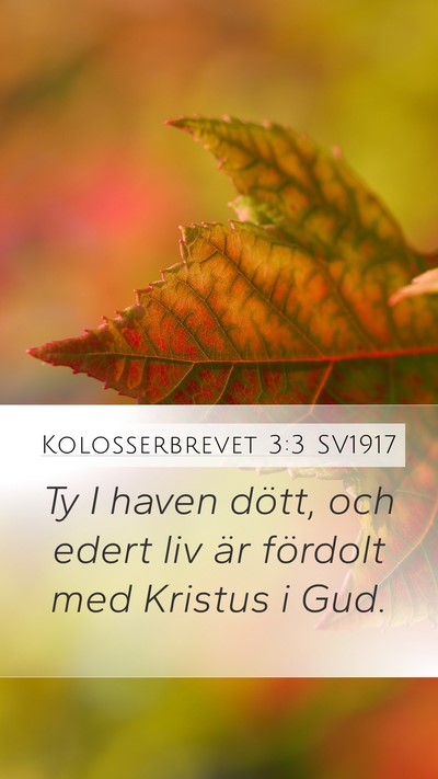 Kolosserbrevet 3:3 SV1917 Bible Verse Image