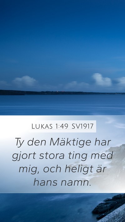 Lukas 1:49 SV1917 Bible Verse Image