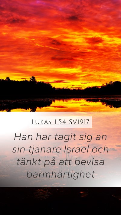Lukas 1:54 SV1917 Bible Verse Image