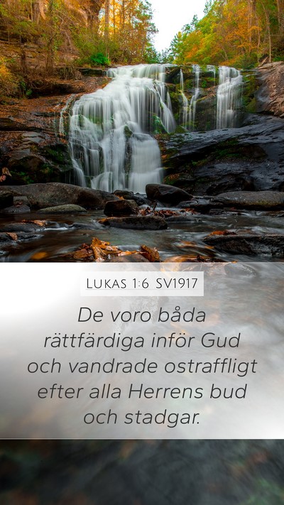 Lukas 1:6 SV1917 Bible Verse Image
