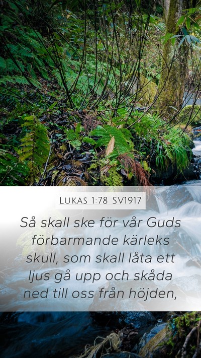 Lukas 1:78 SV1917 Bible Verse Image