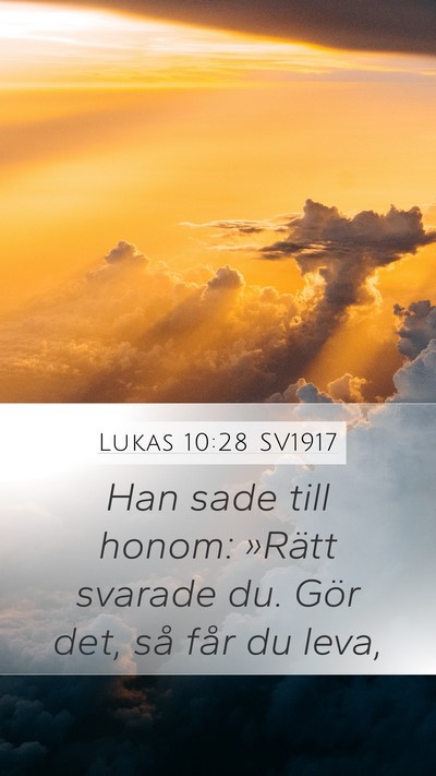Lukas 10:28 SV1917 Mobile Phone Wallpaper - Han sade till honom: »Rätt svarade du. Gör - Mobile Bible Verse Wallpaper