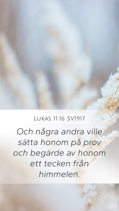 Lukas 11:16 SV1917 Bible Verse Image
