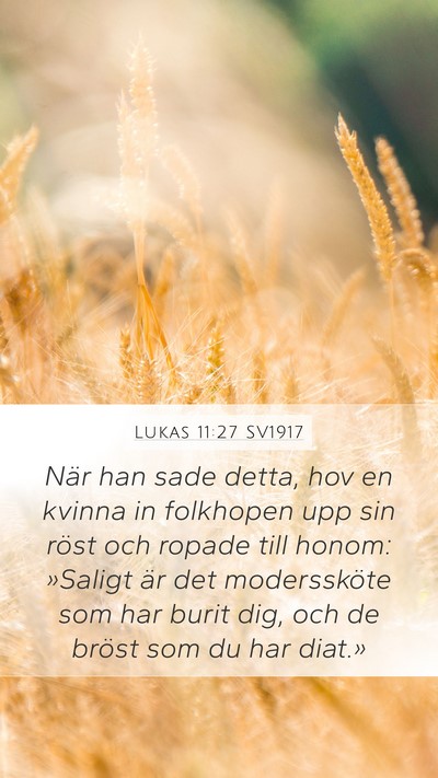 Lukas 11:27 SV1917 Bible Verse Image