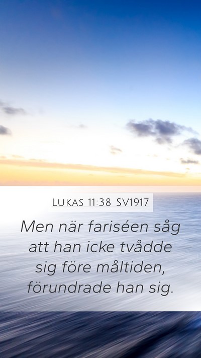 Lukas 11:38 SV1917 Bible Verse Image