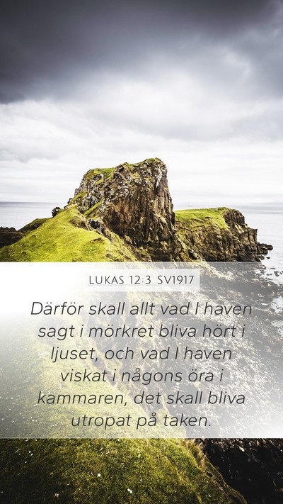 Lukas 12:3 SV1917 Bible Verse Image