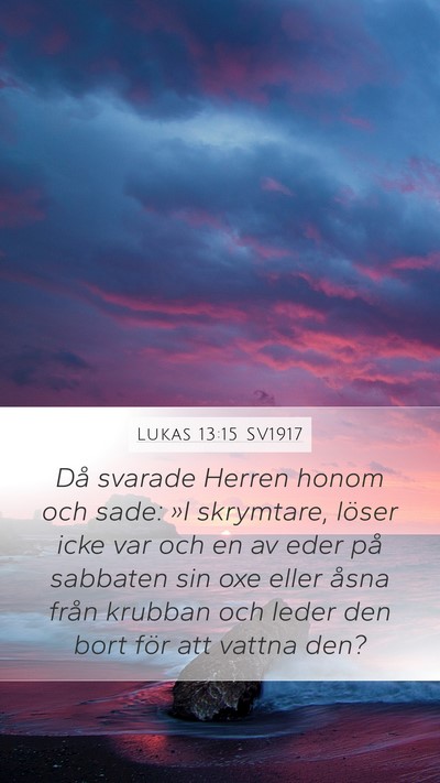 Lukas 13:15 SV1917 Bible Verse Image
