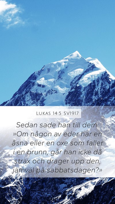 Lukas 14:5 SV1917 Bible Verse Image