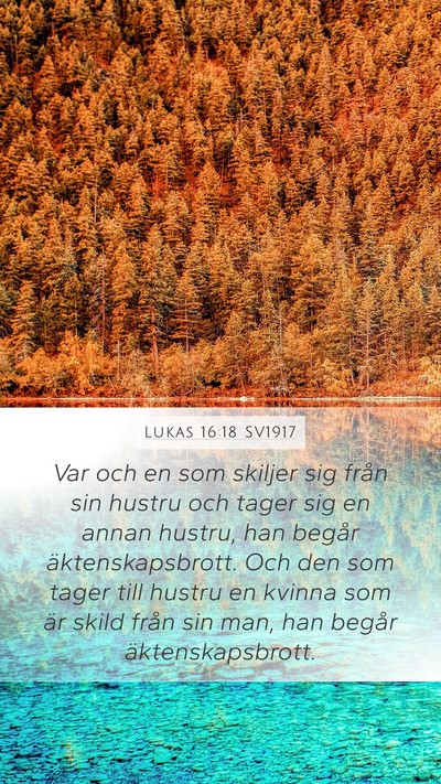 Lukas 16:18 SV1917 Bible Verse Image