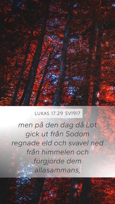 Lukas 17:29 SV1917 Mobile Phone Wallpaper - men på den dag då Lot gick ut från Sodom - Mobile Bible Verse Wallpaper