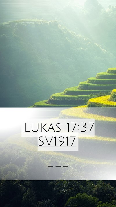 Lukas 17:37 SV1917 Mobile Phone Wallpaper -  - Mobile Bible Verse Wallpaper