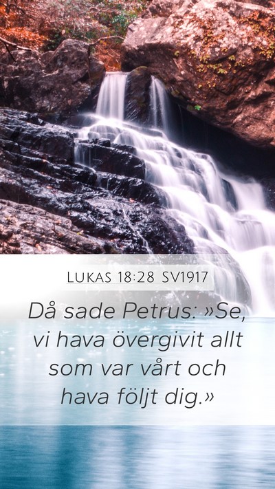 Lukas 18:28 SV1917 Bible Verse Image