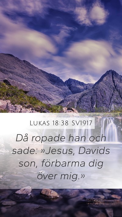 Lukas 18:38 SV1917 Bible Verse Image