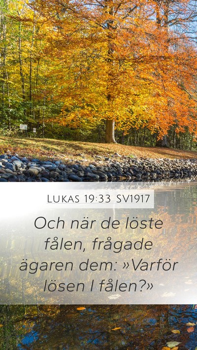 Lukas 19:33 SV1917 Mobile Phone Wallpaper - Och när de löste fålen, frågade ägaren dem: - Mobile Bible Verse Wallpaper