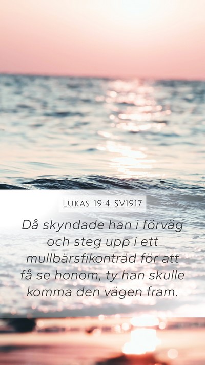 Lukas 19:4 SV1917 Bible Verse Image