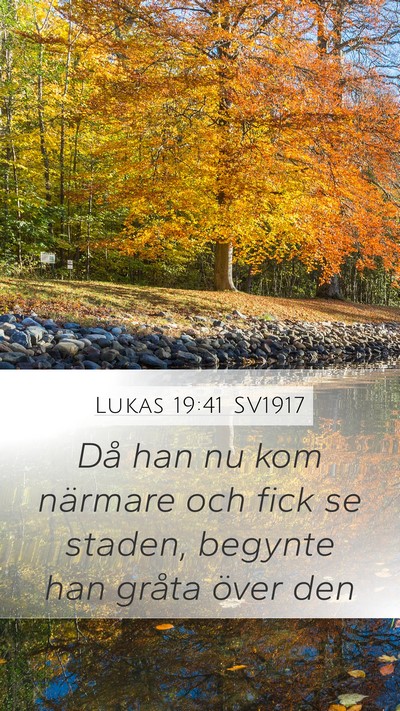 Lukas 19:41 SV1917 Bible Verse Image