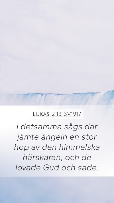 Lukas 2:13 SV1917 Bible Verse Image