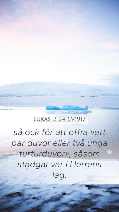 Lukas 2:24 SV1917 Mobile Phone Wallpaper - så ock för att offra »ett par duvor eller två - Mobile Bible Verse Wallpaper