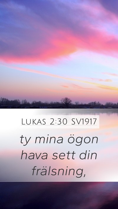 Lukas 2:30 SV1917 Bible Verse Image