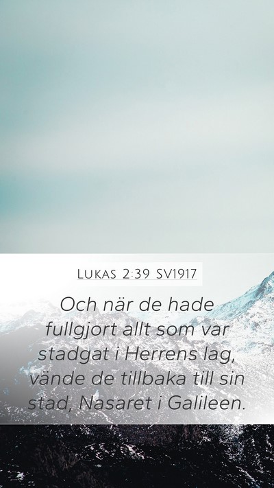 Lukas 2:39 SV1917 Bible Verse Image