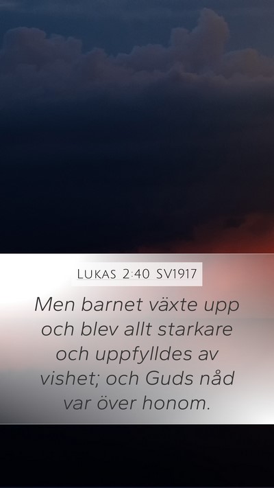 Lukas 2:40 SV1917 Bible Verse Image