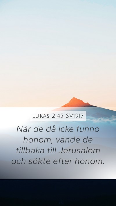 Lukas 2:45 SV1917 Mobile Phone Wallpaper - När de då icke funno honom, vände de tillbaka - Mobile Bible Verse Wallpaper