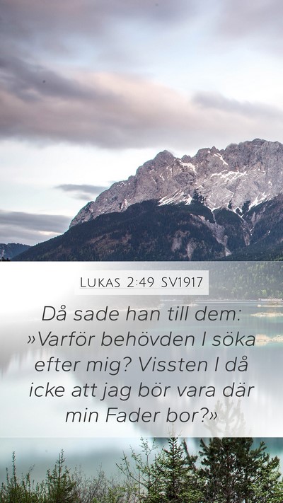 Lukas 2:49 SV1917 Bible Verse Image