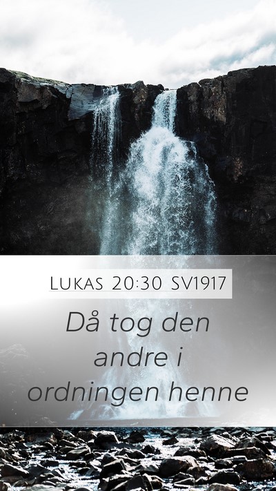 Lukas 20:30 SV1917 Mobile Phone Wallpaper - Då tog den andre i ordningen - Mobile Bible Verse Wallpaper