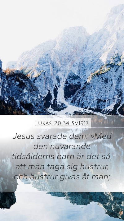 Lukas 20:34 SV1917 Bible Verse Image