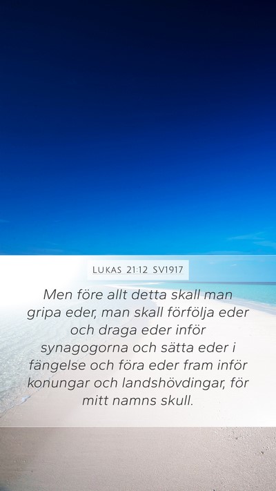 Lukas 21:12 SV1917 Bible Verse Image
