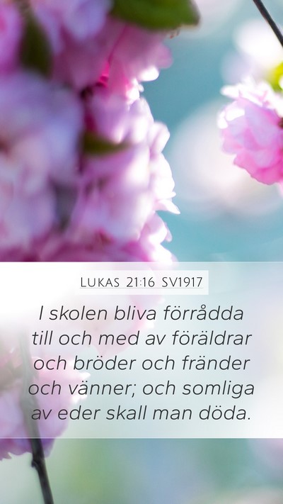 Lukas 21:16 SV1917 Bible Verse Image