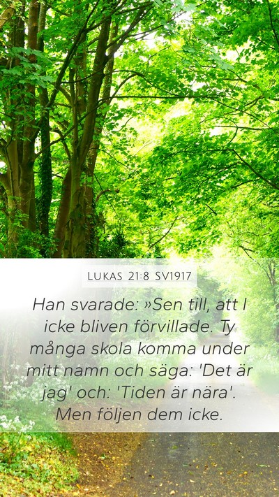 Lukas 21:8 SV1917 Bible Verse Image