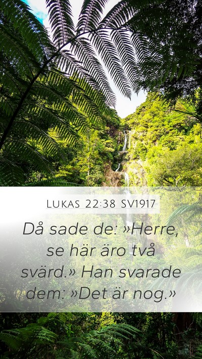 Lukas 22:38 SV1917 Mobile Phone Wallpaper - Då sade de: »Herre, se här äro två svärd.» - Mobile Bible Verse Wallpaper