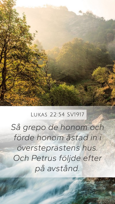 Lukas 22:54 SV1917 Bible Verse Image