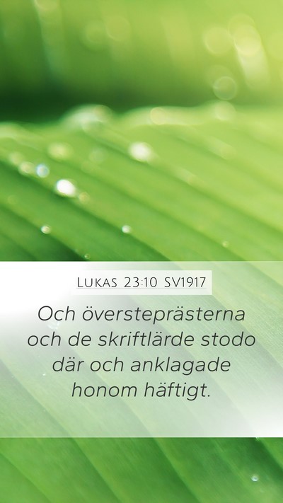 Lukas 23:10 SV1917 Bible Verse Image