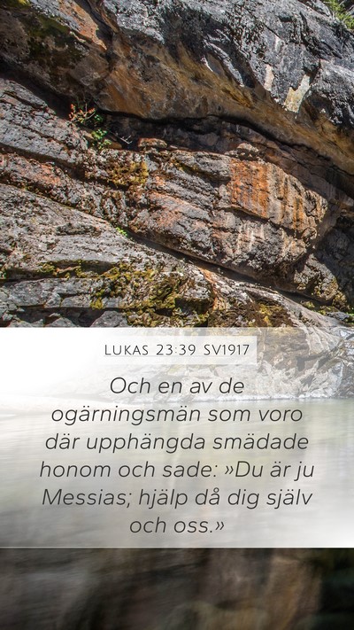Lukas 23:39 SV1917 Bible Verse Image