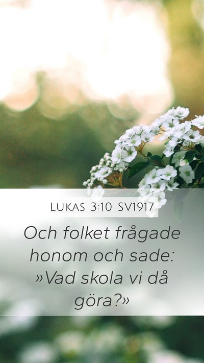 Lukas 3:10 SV1917 Bible Verse Image