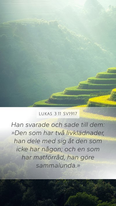Lukas 3:11 SV1917 Bible Verse Image