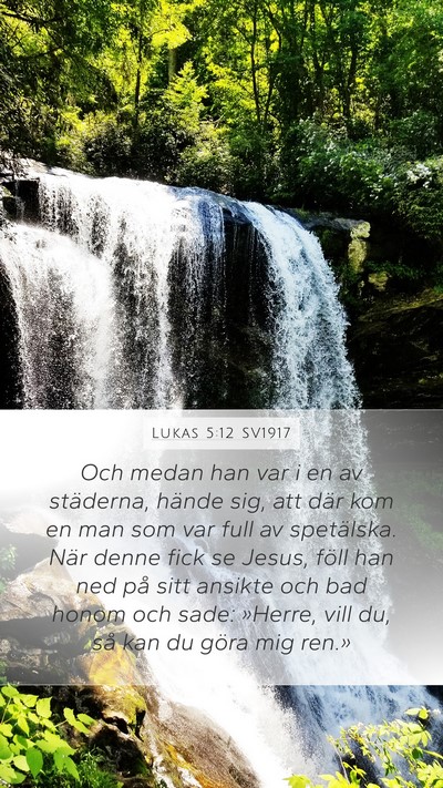 Lukas 5:12 SV1917 Bible Verse Image
