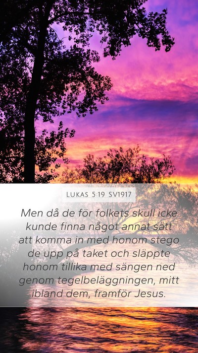 Lukas 5:19 SV1917 Bible Verse Image