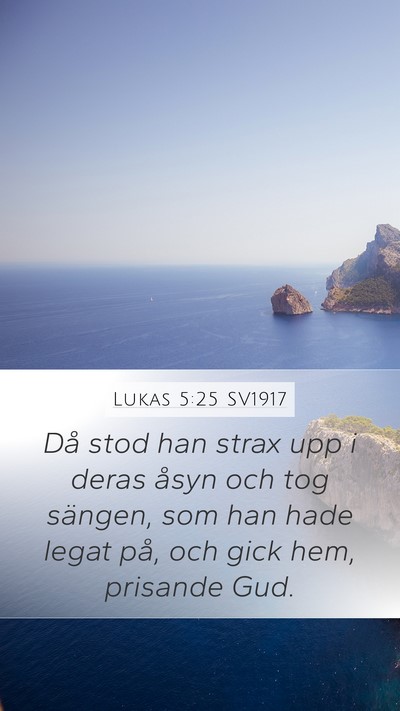 Lukas 5:25 SV1917 Bible Verse Image