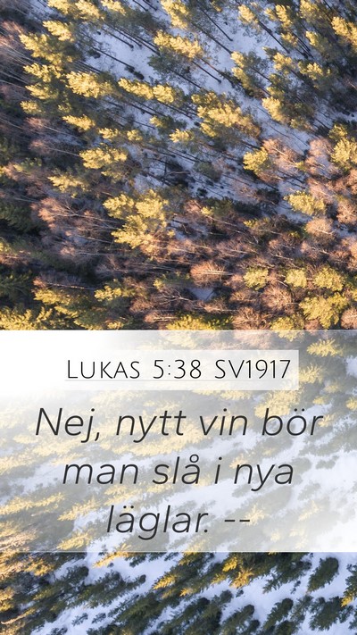 Lukas 5:38 SV1917 Mobile Phone Wallpaper - Nej, nytt vin bör man slå i nya läglar. - Mobile Bible Verse Wallpaper