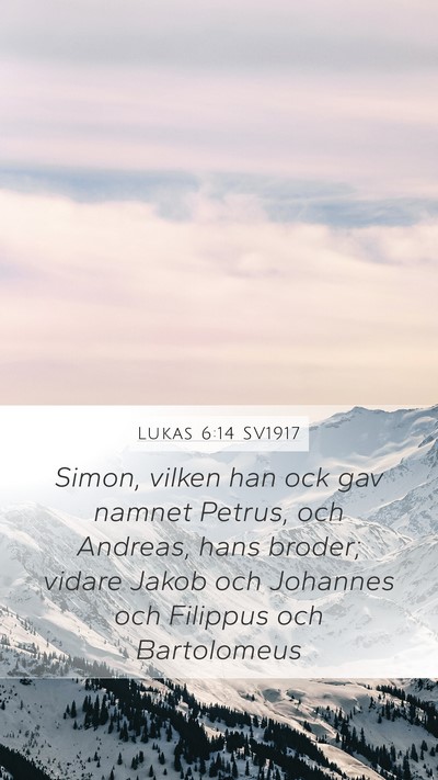Lukas 6:14 SV1917 Bible Verse Image