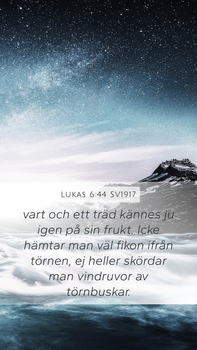 Lukas 6:44 SV1917 Bible Verse Image
