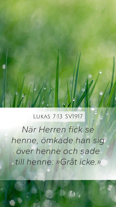 Lukas 7:13 SV1917 Bible Verse Image
