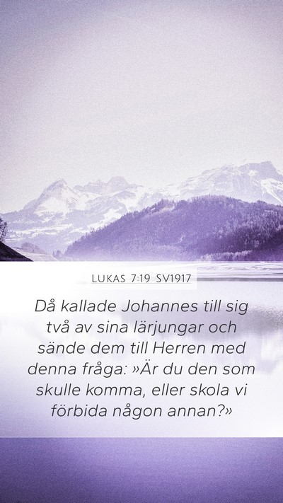 Lukas 7:19 SV1917 Bible Verse Image