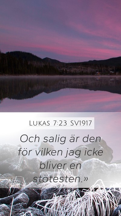 Lukas 7:23 SV1917 Bible Verse Image