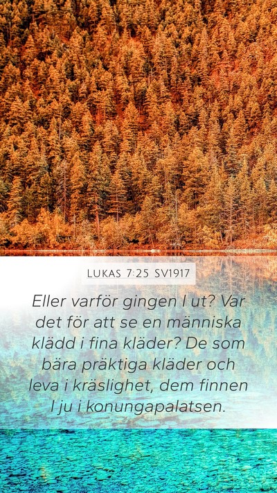 Lukas 7:25 SV1917 Mobile Phone Wallpaper - Eller varför gingen I ut? Var det för att se en - Mobile Bible Verse Wallpaper